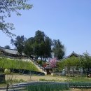 영동향교 이미지