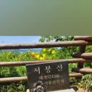 서봉산 산림욕장 1 이미지