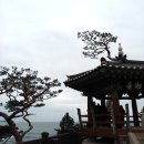 마음스테이 | 양양 낙산사 템플스테이 후기, '내 마음에 이는 파도' 24시간 디지털 디톡스 리얼 체험