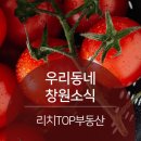 봉림동주민센터 | 우리동네 창원소식 - 25. 6월 마지막주