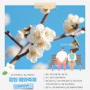 매화 이미지