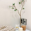 고심스테이 이미지