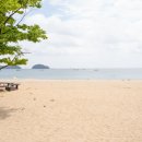 섬마을해초 | 당진횟집 왜목마을 섬마을횟집 후기