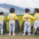 오진아 농촌치유농장 이미지