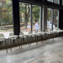 모하우스 | 칠곡 가산수피아 카페 모하 더 그린하우스(Moha The Green House) 브런치 후기 | 핑크뮬리 뷰 명소...