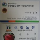 썬프러스 Daum카페