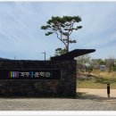 늘푸른소나무약국 | 청송(靑松),푸른 소나무의 시간을 걷다