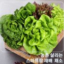 미래산업노동조합 | 농촌 살리는 스마트팜 재배 무농약 유럽 샐러드 채소 추천