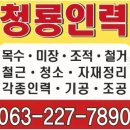 청룡인력 이미지