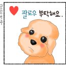황토애견펜션 여수 / 반려견동반 남해여행