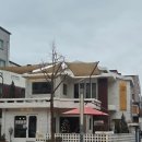 블루메디 | 대전 선화동 카페 "디블루메" 후기