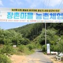 영농조합법인 명인 이미지