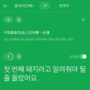 현주오토바이 | [260126-29] 대만 타이중 여행 1-2일차