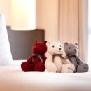 스테이다랑쉬 이미지