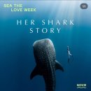 조우MARKET 이미지