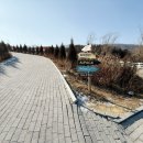 가야목장 | 가평 아기랑 꼭 가야할 곳 ! 가평양떼목장 (가평맛남샌드후기)