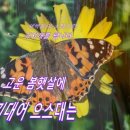 봄 B&H 이미지