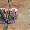 바디가드 짐 | 소노캄 경주 풀앤스파 온천 수영장 겨울 4시간 이용 후기 준비물