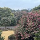 동백해비치펜션 | 서귀포 감성펜션 표선숙소 가든인제주