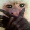 청산도 광주민박 이미지