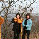 초우농장 이미지