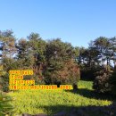 고성오조로 이미지