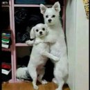 공작한양아파트후문(18226) | 안산 신점 추천 | 간판없는 점집 천화신당 방문 후기