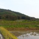 수목공인중개사사무소 이미지