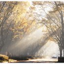 수리산로 이미지