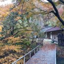 장항1리 이미지