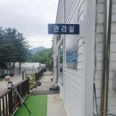 브이아이피오토캠핑장 | 포천캠핑장 하얀숲 오토&amp;글램핑 피크닉존 이용후기