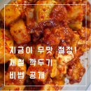 (12/21) 깍두기 담그기 | 맛있게 깍두기 절이기 담그기 비건 레시피