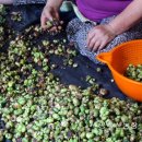 충영농장 이미지