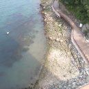 봉평동사무소 이미지