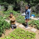 진현농장 이미지