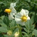 나는 이렇게 살았다---제 2 부 이미지