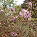 삼방시장입구 이미지