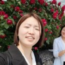 (주)히즈윌 네이버블로그