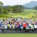 데일리모터스 이미지