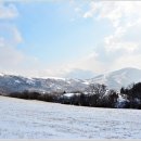 삼양목장 이미지