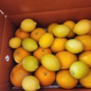 성북-돈암-2807 이미지