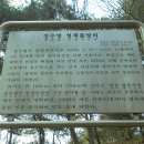 정수명 영세불망비 이미지