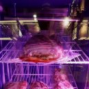 갈비병장 이미지