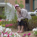 산천초목 이미지