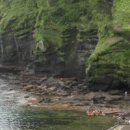 동굴리조트 이미지