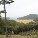 송현1리 마을회관 이미지