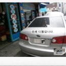 제일듸젤카