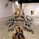 아이올래 이미지