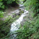 통리군부대 이미지