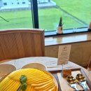 1832 | ​[김포 카페] 초록빛 논뷰와 달콤한 애플망고빙수가 있는 곳, 금파1832 내돈내산 솔직 후기